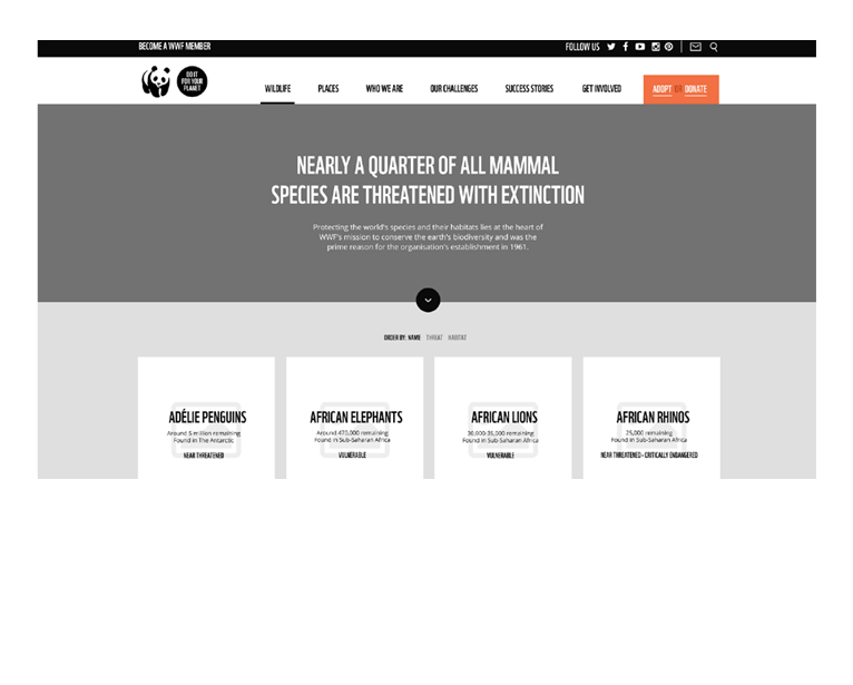 Wireframe Development